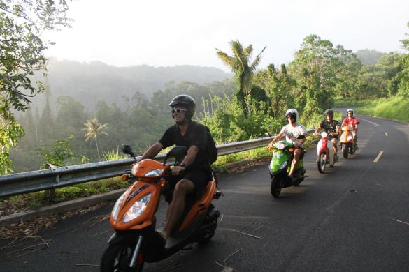 Dreams of Tropical lands of scootering