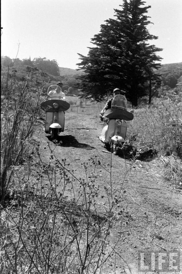 111333d3f3c6f90c_large